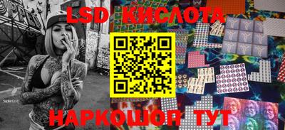 гашик Будённовск