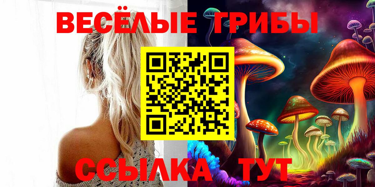 Сызрань  Галлюциногенные грибы MAGIC MUSHROOMS  Вход с VPN 